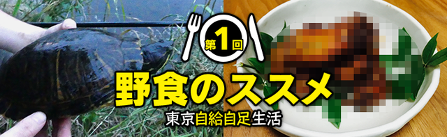 第1回：野菜も魚介も肉も都会で全部賄えるのだ | ジセダイ