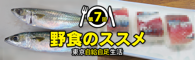 第7回 新木場秋のサバ祭り 鮮度抜群 東京湾奥青物御膳を作ろう ジセダイ