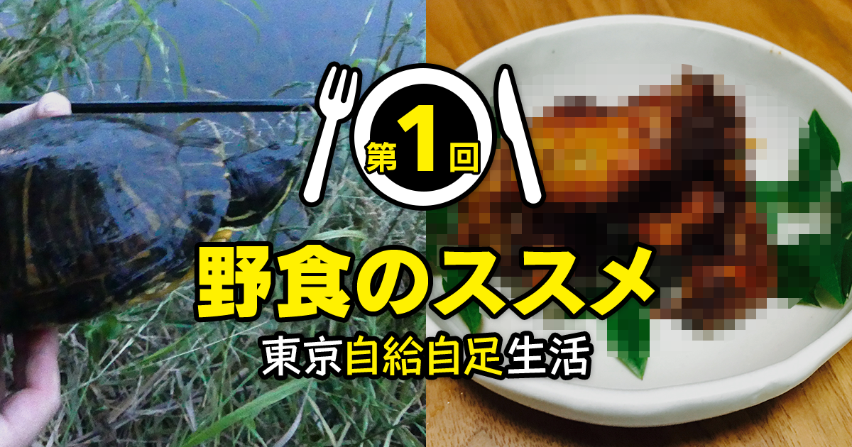 【中古】 野食のススメ 東京自給自足生活/星海社/茸本朗 野食のススメ 東京自給自足生活 (星海社新書 114)／茸本 朗